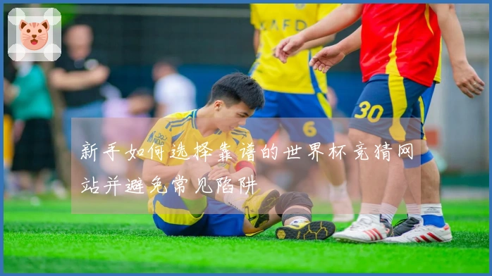 新手如何选择靠谱的世界杯竞猜网站并避免常见陷阱